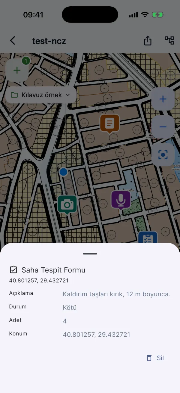 Doldurulmuş saha formu